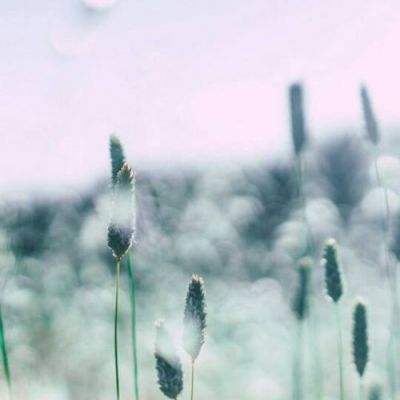 电子mg官方网站